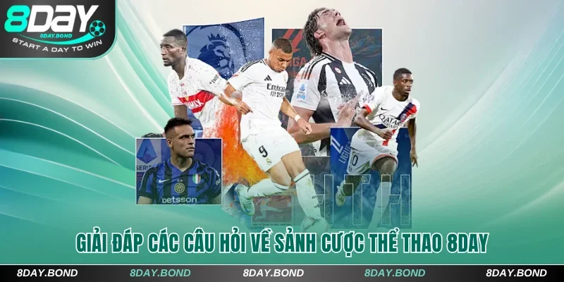 Giải đáp các câu hỏi về thể thao 8Day